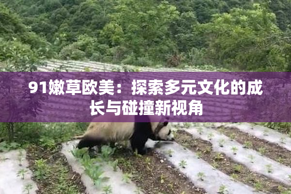 91嫩草欧美：探索多元文化的成长与碰撞新视角