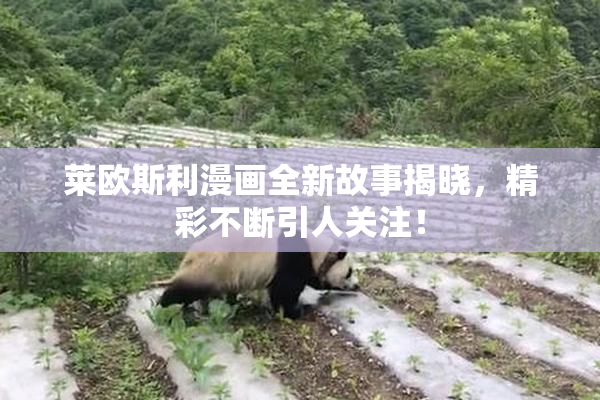 莱欧斯利漫画全新故事揭晓，精彩不断引人关注！