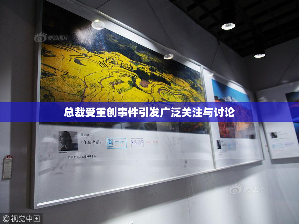 总裁受重创事件引发广泛关注与讨论
