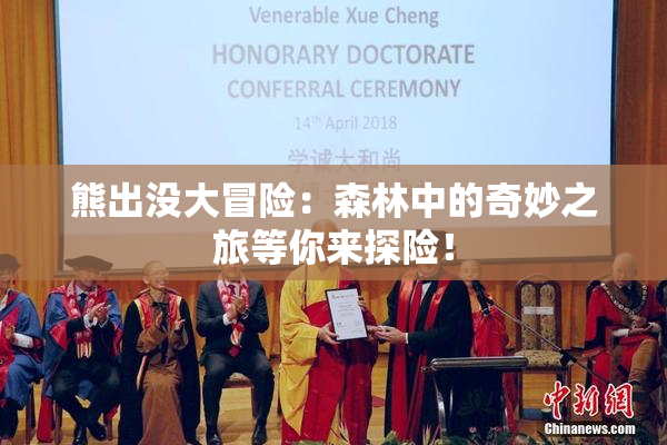 熊出没大冒险：森林中的奇妙之旅等你来探险！