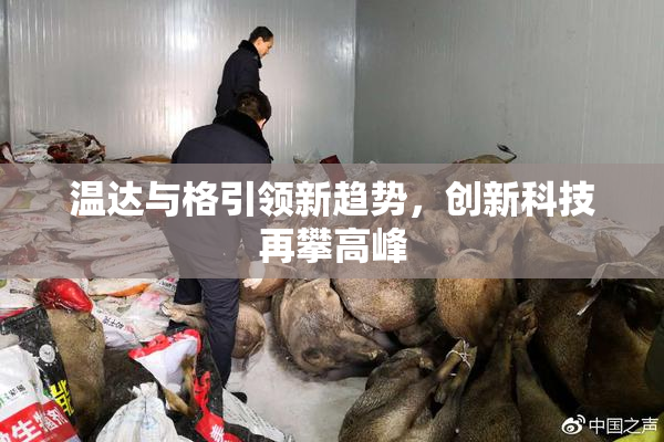 温达与格引领新趋势，创新科技再攀高峰