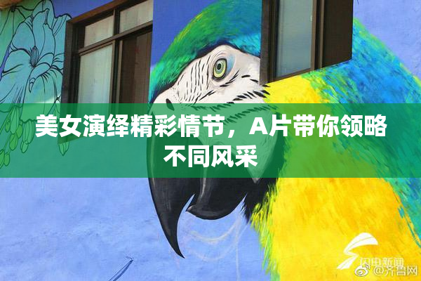 美女演绎精彩情节，A片带你领略不同风采