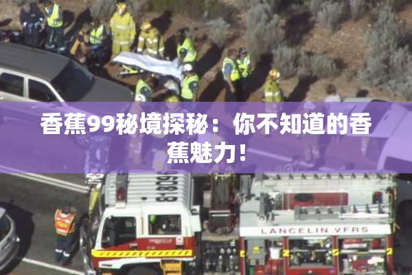 香蕉99秘境探秘：你不知道的香蕉魅力！