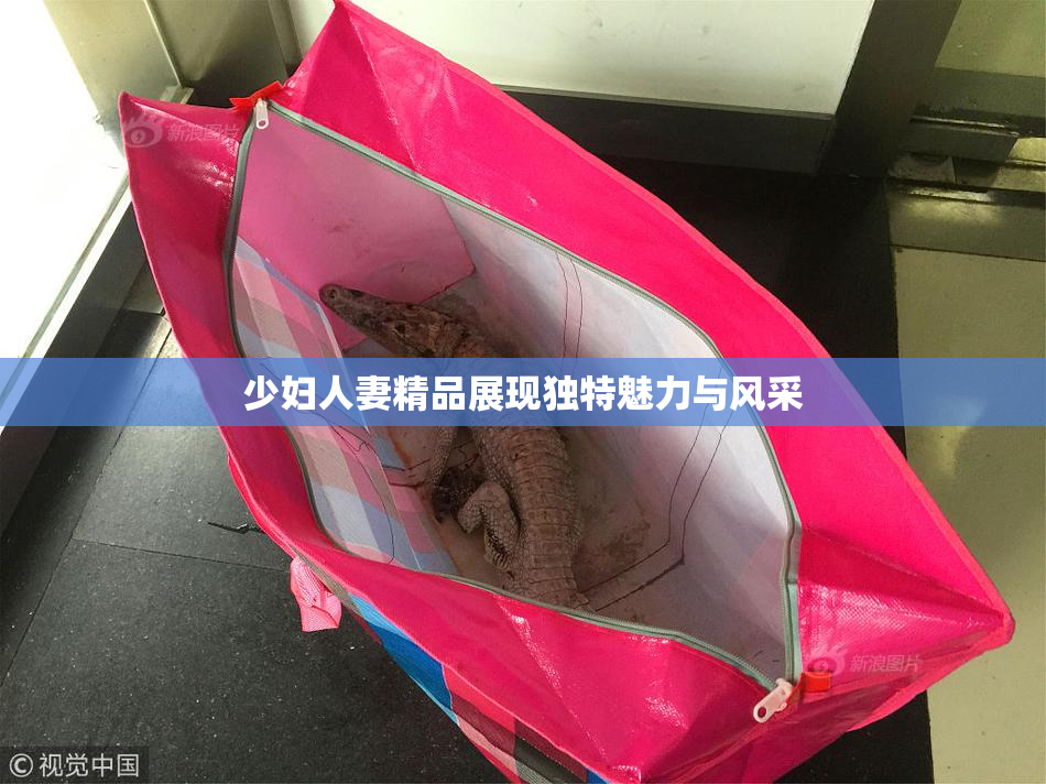少妇人妻精品展现独特魅力与风采