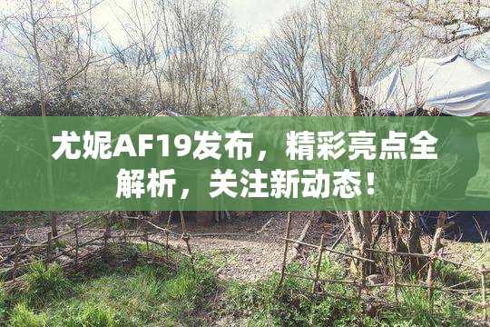 尤妮AF19发布，精彩亮点全解析，关注新动态！