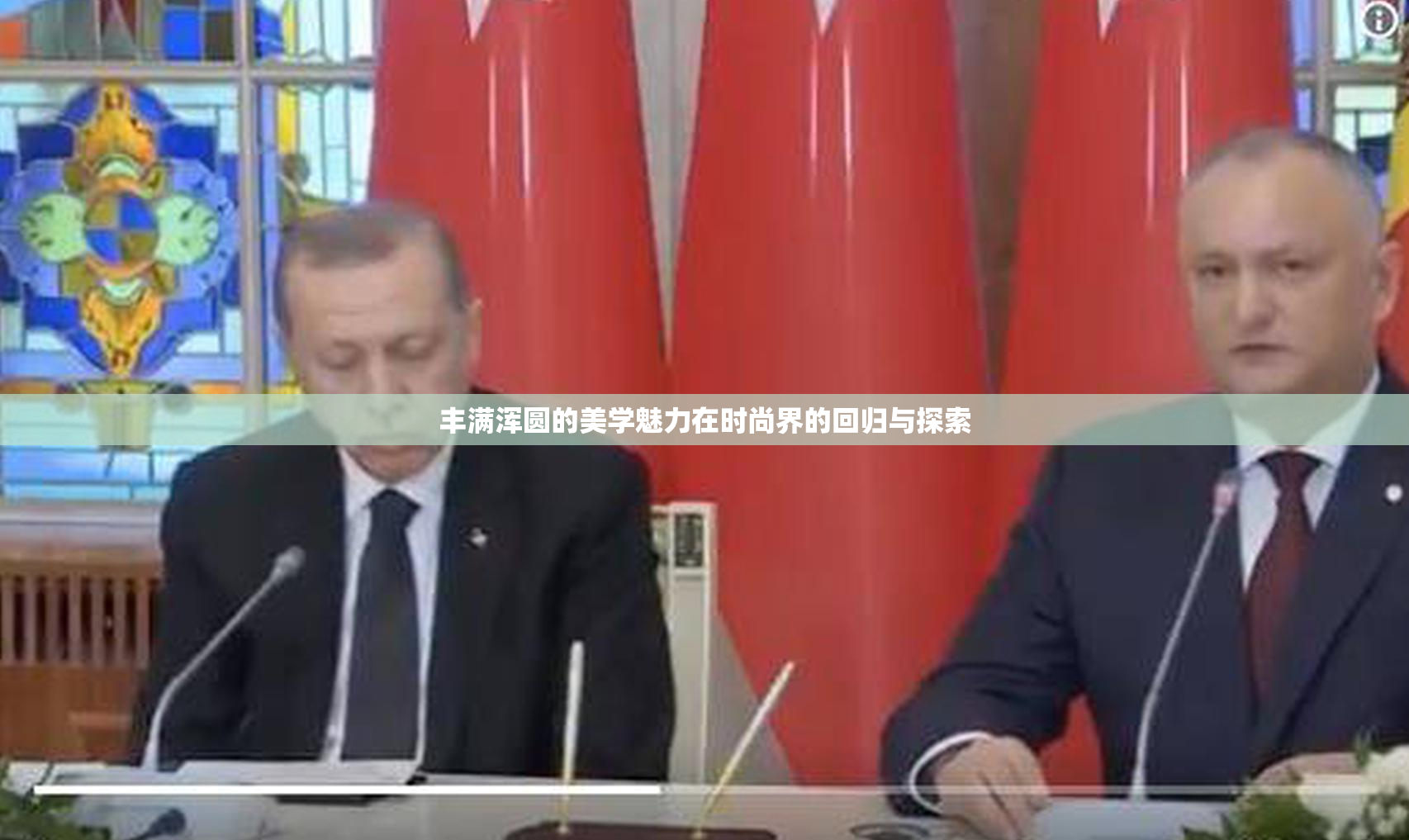 丰满浑圆的美学魅力在时尚界的回归与探索