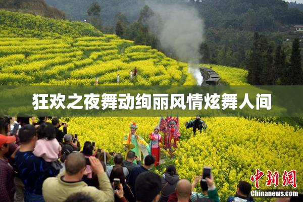 狂欢之夜舞动绚丽风情炫舞人间