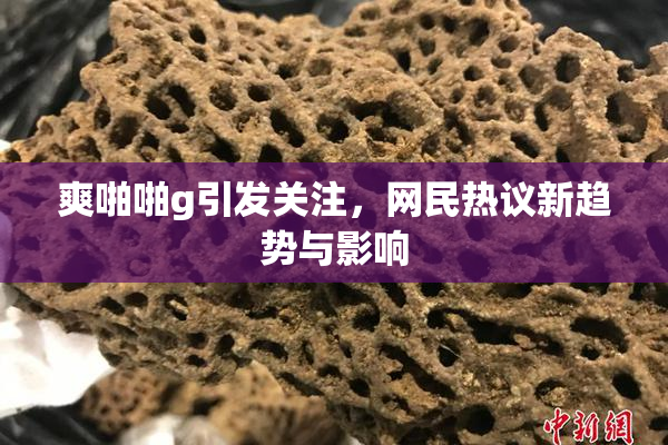 爽啪啪g引发关注，网民热议新趋势与影响