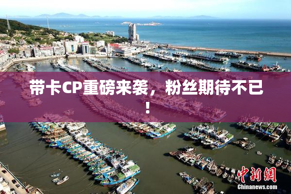 带卡CP重磅来袭，粉丝期待不已！