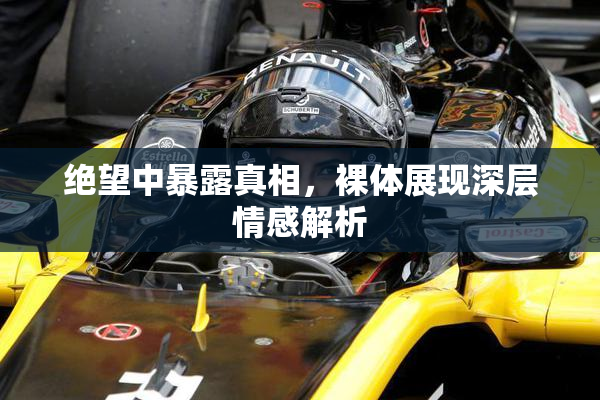 绝望中暴露真相，裸体展现深层情感解析