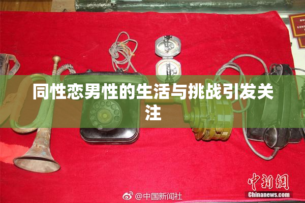 同性恋男性的生活与挑战引发关注
