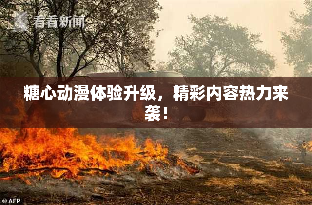 糖心动漫体验升级，精彩内容热力来袭！