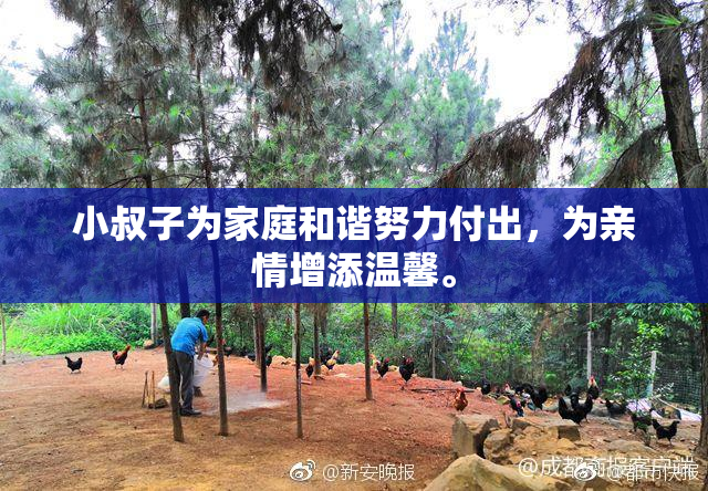 小叔子为家庭和谐努力付出，为亲情增添温馨。