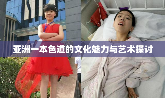 亚洲一本色道的文化魅力与艺术探讨