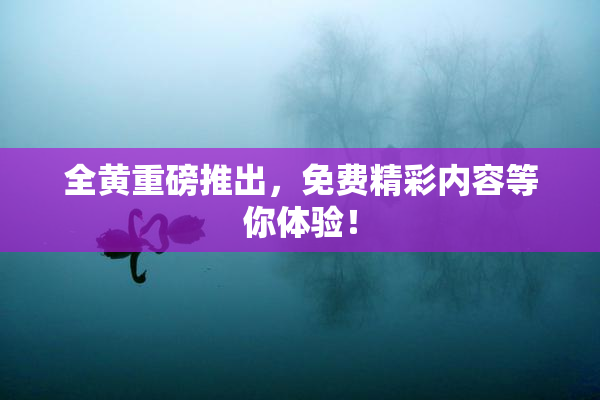全黄重磅推出，免费精彩内容等你体验！