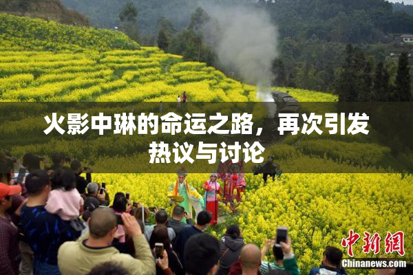 火影中琳的命运之路，再次引发热议与讨论