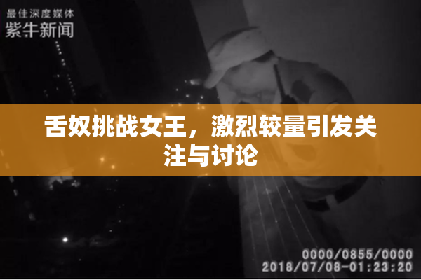 舌奴挑战女王，激烈较量引发关注与讨论