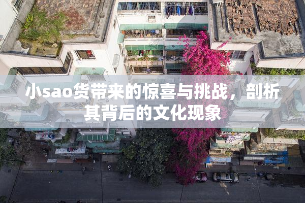 小sao货带来的惊喜与挑战，剖析其背后的文化现象