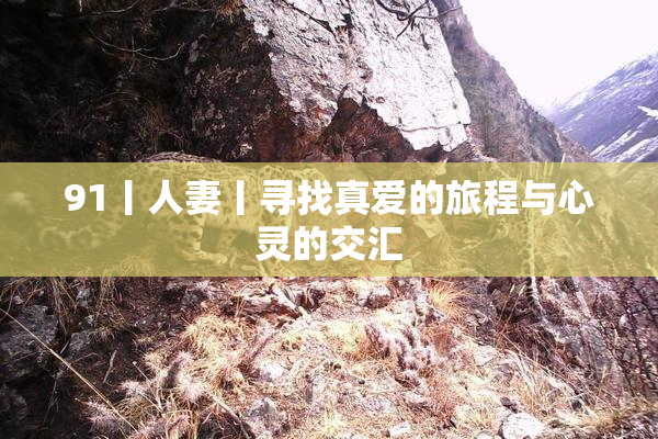 91丨人妻丨寻找真爱的旅程与心灵的交汇