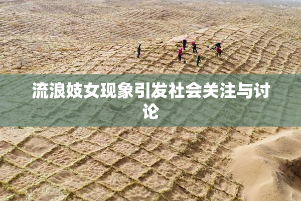 流浪妓女现象引发社会关注与讨论