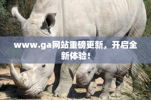 www.ga网站重磅更新，开启全新体验！