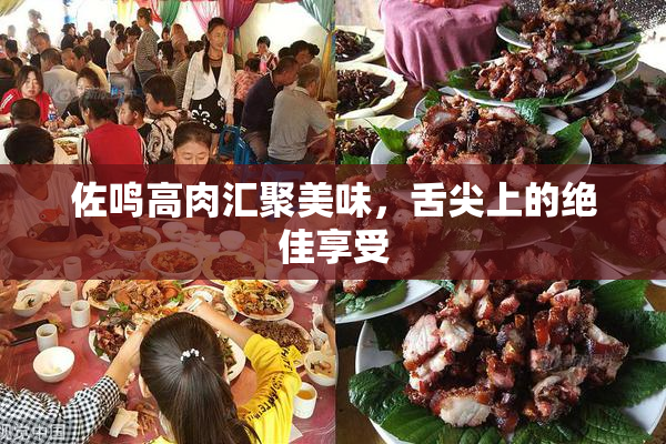 佐鸣高肉汇聚美味，舌尖上的绝佳享受