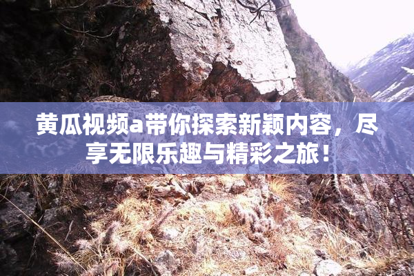 黄瓜视频a带你探索新颖内容，尽享无限乐趣与精彩之旅！
