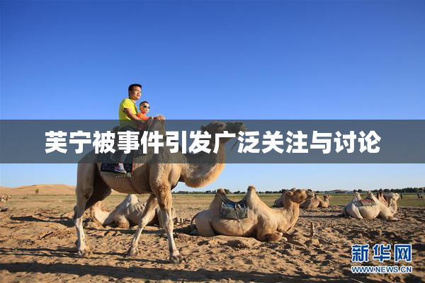 芙宁被事件引发广泛关注与讨论