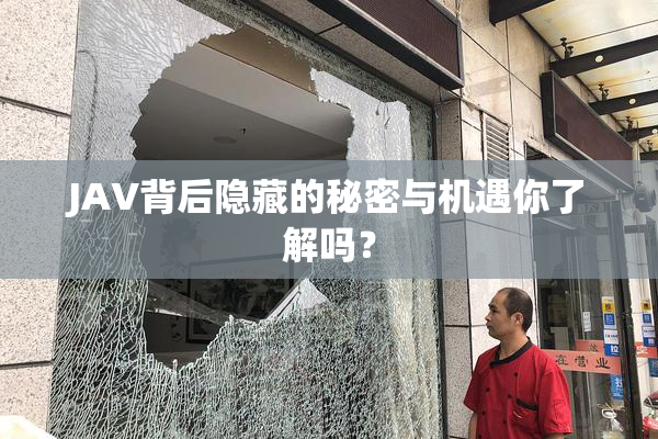JAV背后隐藏的秘密与机遇你了解吗？