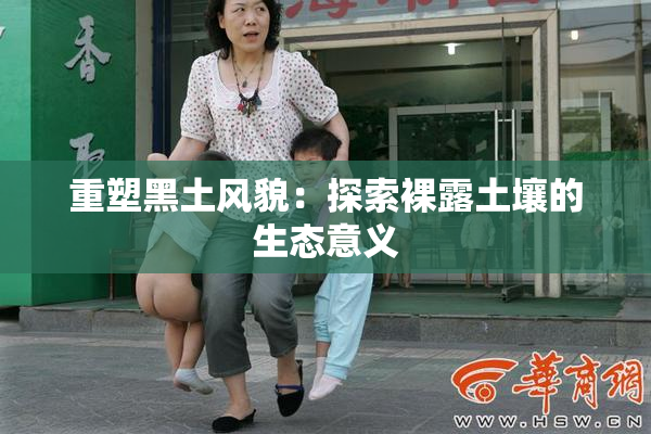 重塑黑土风貌：探索裸露土壤的生态意义