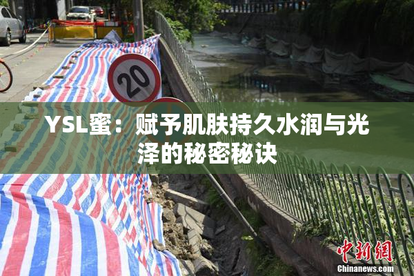 YSL蜜：赋予肌肤持久水润与光泽的秘密秘诀