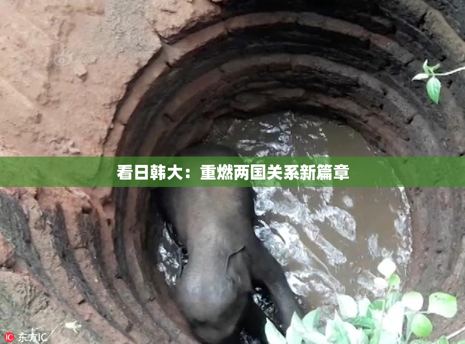 看日韩大：重燃两国关系新篇章