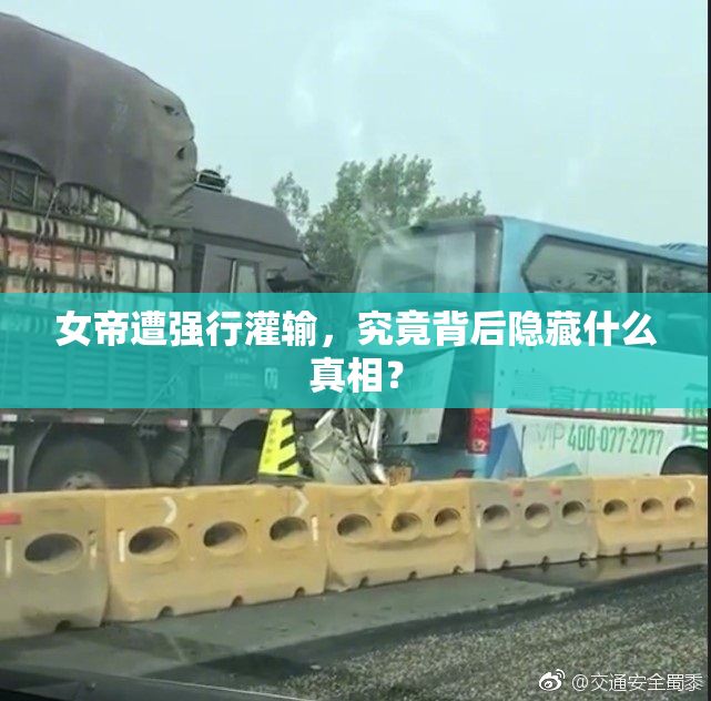 女帝遭强行灌输，究竟背后隐藏什么真相？