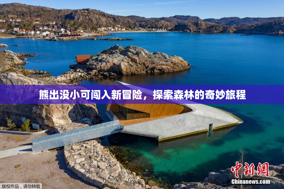 熊出没小可闯入新冒险，探索森林的奇妙旅程