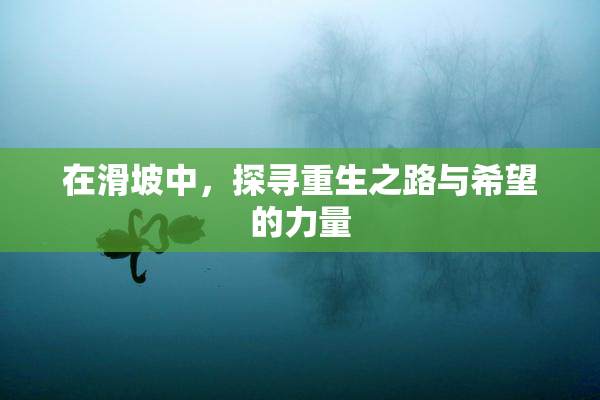 在滑坡中，探寻重生之路与希望的力量
