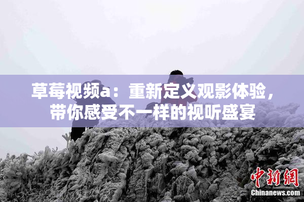 草莓视频a：重新定义观影体验，带你感受不一样的视听盛宴
