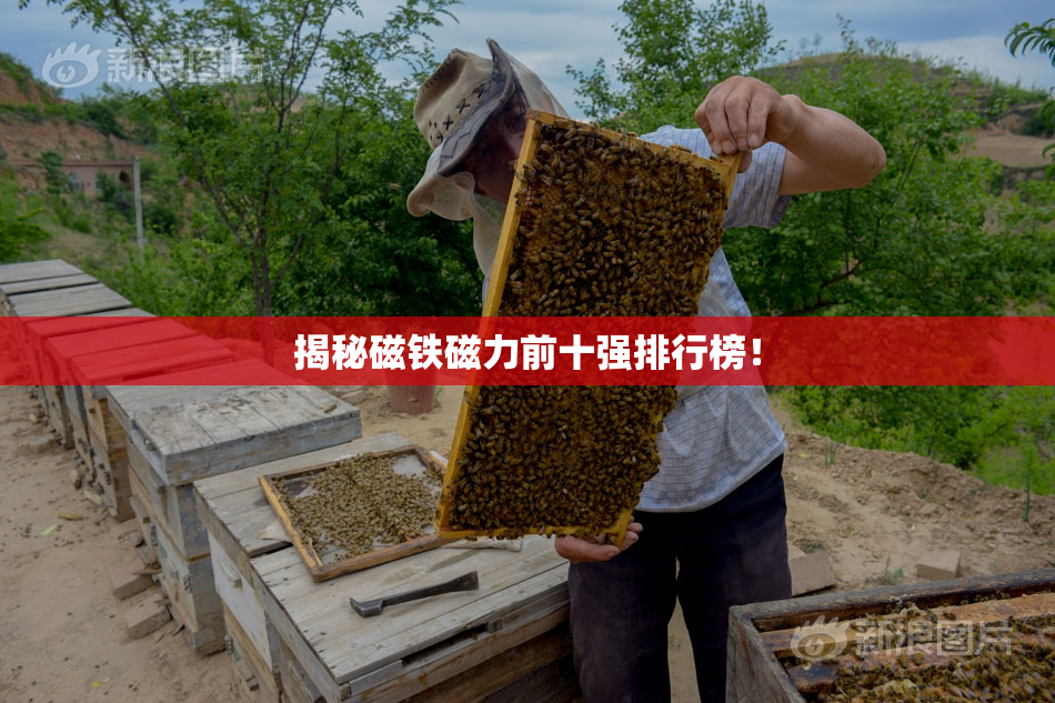 揭秘磁铁磁力前十强排行榜！