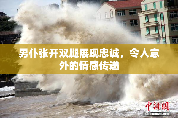 男仆张开双腿展现忠诚，令人意外的情感传递