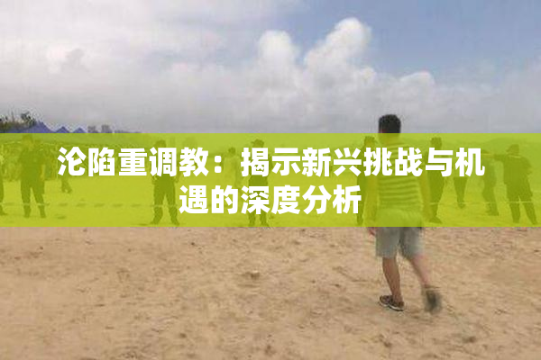 沦陷重调教：揭示新兴挑战与机遇的深度分析