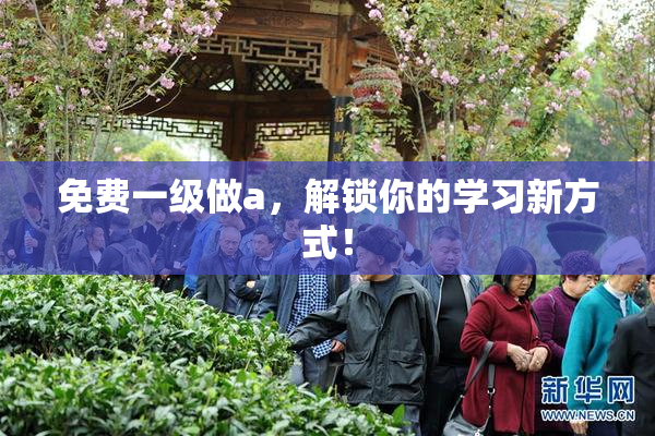 免费一级做a，解锁你的学习新方式！