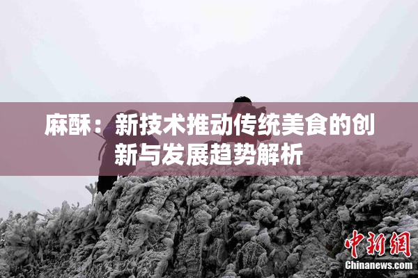 麻酥：新技术推动传统美食的创新与发展趋势解析