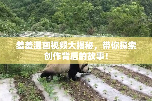 羞羞漫画视频大揭秘，带你探索创作背后的故事！