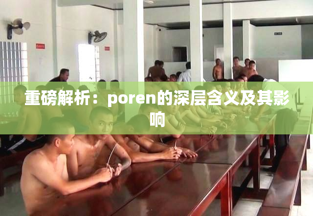 重磅解析：poren的深层含义及其影响