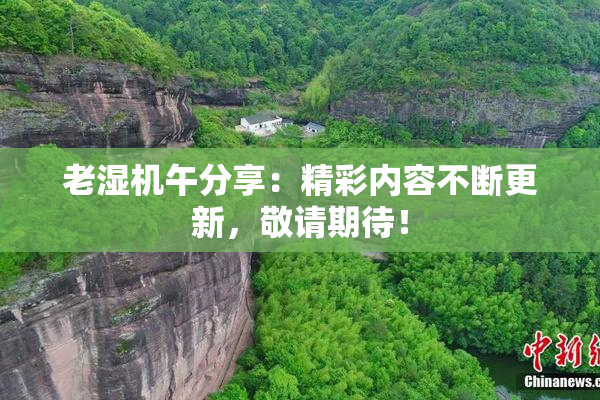 老湿机午分享：精彩内容不断更新，敬请期待！