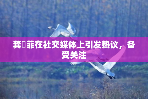 龚玥菲在社交媒体上引发热议，备受关注