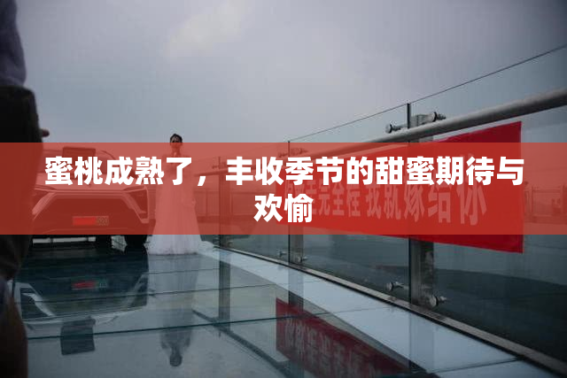 蜜桃成熟了，丰收季节的甜蜜期待与欢愉