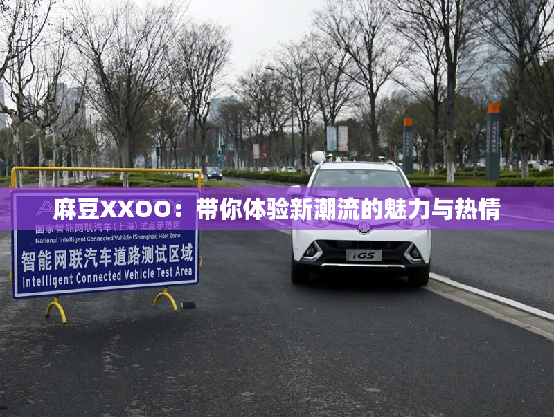 麻豆XXOO：带你体验新潮流的魅力与热情