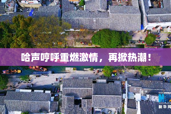 哈声哼呼重燃激情，再掀热潮！