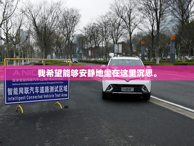 我希望能够安静地坐在这里沉思。