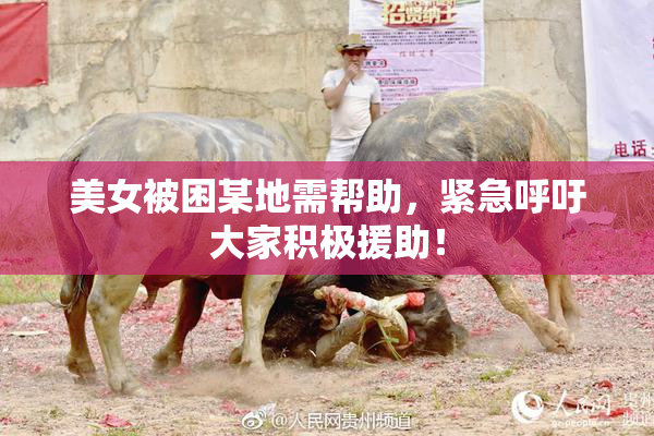 美女被困某地需帮助，紧急呼吁大家积极援助！